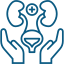 Pediatric Nephrology Icon